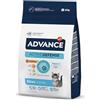 Advance Kitten Cibo per Gatti, Pollo&Riso - 10000 gr