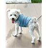 Generic Vestiti in rete per cani traspiranti con passante, camicia leggera per passeggiate e viaggi, elegante vestito primaverile estivo per cani di piccola taglia, blu, XL