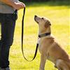 Generic Guinzaglio per cani lungo 6 m, largo 2 cm, in polipropilene resistente, resistente alle intemperie, per cani di taglia piccola, media e grande (nero)