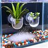 Generic 1 mini ciotola per piante acquatiche in acrilico trasparente con ventosa, mini mangiatoia per pesci e vermi, strumento decorativo per acquario (grande, 4,7 x 6,6 x 5 cm)