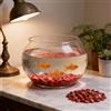 Generic Agata naturale per acquario, ghiaia per acquario, rocce da 5-7 mm | Pietre colorate di agata schiacciata, per piante da interno, riempimento di vasi, piante grasse, terrari