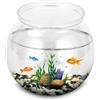 Qcwwy Ciotola per Pesci in Plastica, Ciotola per Pesci Stile Tamburo Classico Ciotola per Pesci Rossi Trasparente per Pesci Rossi Betta Pianta per Pesci Rossi Mini (Mini Taglia)