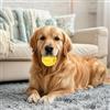 Generic Palla interattiva per biscottini per cani, giocattolo masticabile che distribuisce cibo per cani, pallina anti-noia per cani di piccola e grande taglia, pallina di gomma per uso interno ed esterno