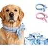 Generic 2 sciarpe rinfrescanti per animali domestici, per cani e gatti, per l'estate, riutilizzabili, con papillon, per passeggiate all'aperto, viaggi