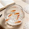 Generic Agata naturale per acquario, ghiaia per acquario, rocce da 5-7 mm | Pietre colorate di agata schiacciata, per piante da interno, riempimento di vasi, piante grasse, terrari