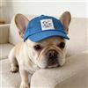 Generic Cappello da sole per cani con fori per le orecchie, berretto da baseball regolabile in velluto a coste per animali domestici, visiera esterna per gatti e cani, taglia L, verde