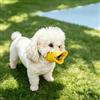 Generic Museruola per cani in silicone anti-morso con becco d'anatra museruola anti-abbaio per cuccioli è adatta per cani da 1,5-12,5 kg, giallo, XS