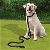 Generic Guinzaglio da addestramento per cani, con doppio manico, lungo 1,8 m, imbottito, con 2 manici, riflettente, per cani di taglia piccola, media e grande