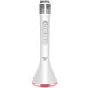 WS - Microfono Karaoke Altoparlante - Bluetooth - Portatile - 680078MIN - Argento - Senza Fili - Musica - Luce LED - Microfono Portatile - Canto - Bambino - Adulto - Danza - Ipad - Iphone - Android