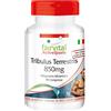 fairvital Estratto di Tribulus Terrestris 850 mg, 90 compresse, ALTO DOSAGGIO, 90% di saponine e 22% di protodioscina, VEGANO