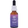 Australian Bush Flower Essences Travel Drops