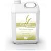 Camylle - Stérylane Steambath - Disinfezione delle attrezzature termali - - 5000ml