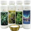 Well2wellness® Infuso-Sauna Set 4 x 125 ML 'Classico 2' con Eucalipto, Pino Mugo , Menta, Finlandese Inverno + Gratis 10g Mentolo
