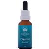 Australian Bush Flower Essences Creative Drops