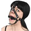 Honeylust Gancio Nasale Head Harness Gag Ball Silicone BDSM Bondage Fetish | Imbracatura ecopelle con lucchetto - Bavaglio per Schiava, Devota, Erotico, Kinky Giochi SM, Dominanza & Sottomissione