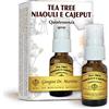 Dr Giorgini Dr. Giorgini - Dr. Giorgini Tea Tree Niaouli e Cajeput Integratore per benessere 15ml - 924451851
