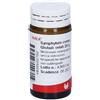 WALA ITALIA Wala Symphytum Compositum Globuli 20 G