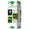 SANGALLI Betulla Verrucosa 100ml Macerato Di Gemme