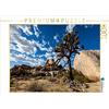 CALVENDO Puzzle Joshua Tree National Park California 1000 pezzi Lege Dimensioni 64 x 48 cm Foto Puzzle Immagine di Patrick Leitz