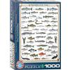 EuroGraphics Pesce d'acqua dolce