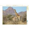 CALVENDO Wilfried Martin - Puzzle a forma di giraffa con animali giovani, 1000 pezzi, dimensioni 64 x 48 cm