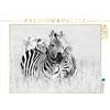 CALVENDO Puzzle Momenti Emotivi: Zebra - Bianco e Nero 1000 pezzi Lege-Dimensioni 64 x 48 cm Foto Puzzle Immagine di Ingo Gerlach