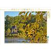 CALVENDO Puzzle Marientempel am Adolf Mittag See | 1000 Teile Lege-Größe 64x48cm Foto-Puzzle für glückliche Stunden: Herbst im Stadtpark Rothehorn in MAgdeburg