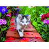 Nathan - Puzzle da 500 pezzi - Gattino in giardino - Adulti e bambini a partire dai 12 anni - Puzzle di alta qualità - Misura perfetta - Collezione Tendresse - 12000968