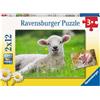 Ravensburger Puzzle per bambini Ravensburger - 05718 I nostri animali da fattoria - Puzzle da 2 x 12 pezzi per bambini dai 3 anni in su