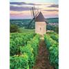 Nathan Ravensburger- Nathan Puzzle per Adulti, 12000898