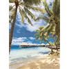 Nathan - Puzzle da 500 pezzi - Spiaggia di Bora Bora, Polinesia francese - Adulti e bambini dai 12 anni - Puzzle di alta qualità - Collezione Evasion - 12000972