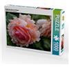 CALVENDO Martina Cross - Puzzle a forma di rosa inglese sotto la pioggia, 1000 pezzi, dimensioni 64 x 48 cm