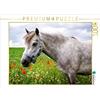 CALVENDO Angela Dölling, AD Design Photo + PhotoArt - Puzzle da 1000 pezzi, dimensioni 64 x 48 cm