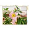 CALVENDO Heike Rau - Puzzle con rose selvatiche, 1000 pezzi, dimensioni 64 x 48 cm