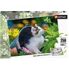 Nathan - Puzzle per bambini - 250 pezzi - Curioso gattino - Bambini o bambine a partire da 8 anni - Puzzle di alta qualità - Cartone spesso e resistente - Animali - 86876