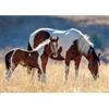 Nathan - Puzzle da 1500 pezzi - Cavallo e puledro - Adulti e bambini a partire dai 14 anni - Puzzle di alta qualità - Misura perfetta - Collezione Wild Life - 12000928