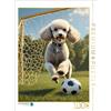 CALVENDO Puzzle sport barboncino - barboncino bianco gioca a calcio | 1000 pezzi Lege-Dimensioni 48 x 64 cm puzzle foto per ore felici