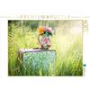 CALVENDO Elisabeth Fustella - Puzzle con immagine del calendario Cottage Summer, 1000 pezzi, dimensioni 64 x 48 cm