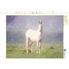 CALVENDO Brunner-Klaus - Puzzle unicorno, 1000 pezzi, dimensioni: 64 x 48 cm