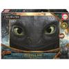 Educa - Puzzle 500 pezzi Dragon Trainer DreamWorks | Puzzle per bambini e adulti | Età 11+ (20594)