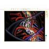 CALVENDO Puzzle Ordine e Caos - Citazioni e grafici 2017 1000 pezzi Lege-Dimensioni 64 x 48 cm Foto puzzle Immagine di Georg Schmitt