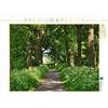 CALVENDO Puzzle sotto gli alberi, 1000 pezzi, dimensioni 64 x 48 cm, foto puzzle di Marianne Drews