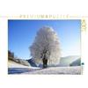 CALVENDO Hurley Rose CALVENDO - Puzzle da 1000 pezzi, motivo: albero, 64 x 48 cm