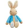 Rainbow Designs My First Peter Rabbit Soft Toy - Official Beatrix Potter Bunny Teddy for Babies and Toddlers