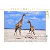 CALVENDO Eduard Tkocz - Puzzle con giraffe, 1000 pezzi, dimensioni 64 x 48 cm