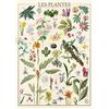 Nathan - Puzzle da 1500 pezzi - Piante - Museo Nazionale di Storia Naturale - Adulti e bambini dai 14 anni - Puzzle di alta qualità - Collezione Nostalgia - 12000931