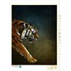 CALVENDO Angela Dölling, AD Design Photo + PhotoArt - Puzzle da 1000 pezzi, 48 x 64 cm