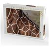 CALVENDO Puzzle Giraffe - Dolcezza e Grazia (1) 1000 pezzi Lege-Dimensioni 64 x 48 cm Foto Puzzle Immagine di Michael Herzog