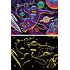 Ravensburger Puzzle per bambini Ravensburger 12004266 - viaggio nello spazio - puzzle per astronauti da 200 pezzi, si illumina al buio, per bambini dagli 8 anni in su