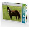 CALVENDO Puzzle cavallo sul salice 1000 pezzi Lege-Dimensioni 64 x 48 cm Foto puzzle Immagine di Sabine Löwer